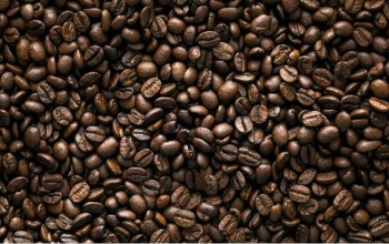 Fournisseur de café en grains